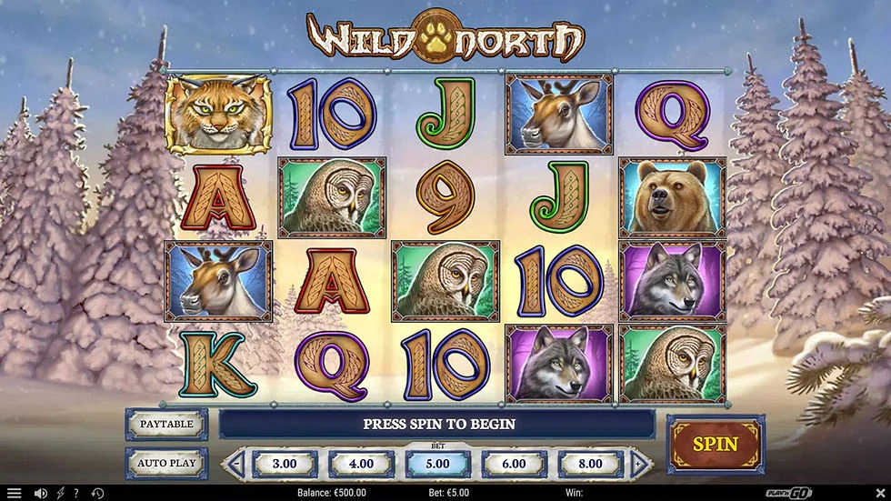 OnlineFocusPoint Social Casino Adventure