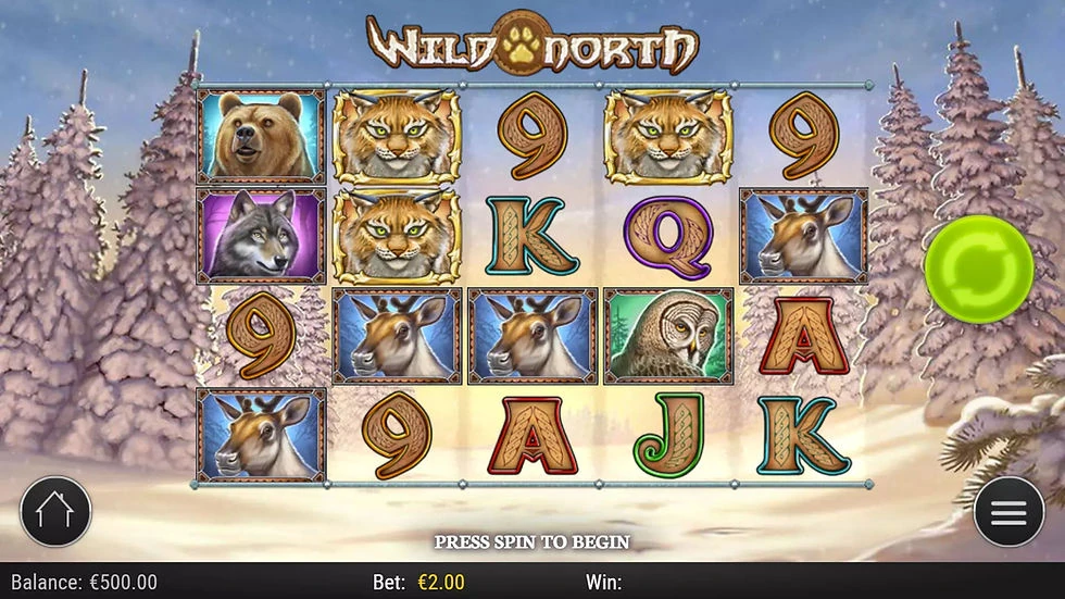 OnlineFocusPoint Social Casino Games